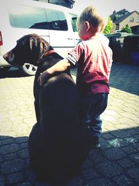 Rear view of boy with dog