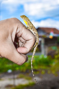 Close-up of person holding hands