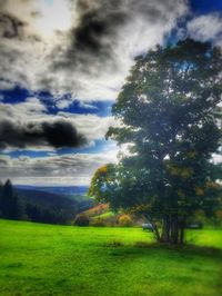 Scenic view of grassy field against cloudy sky