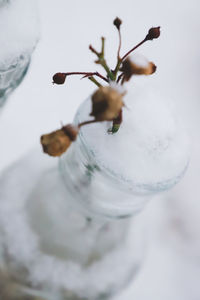 Close-up of white flower vase on table
