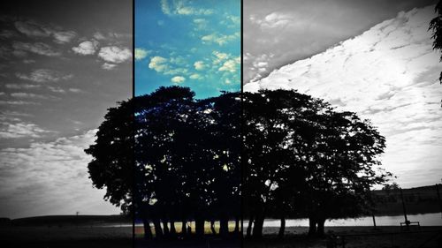 Silhouette of trees against cloudy sky