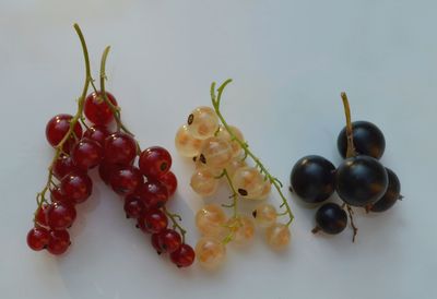 Close-up of grapes over white background