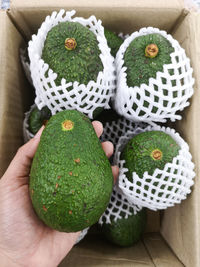 High angle view of hand holding fruit on table