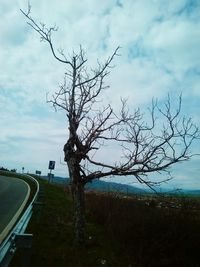 Bare trees on landscape against cloudy sky