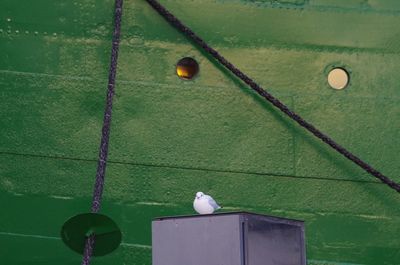 High angle view of ball hanging on pole