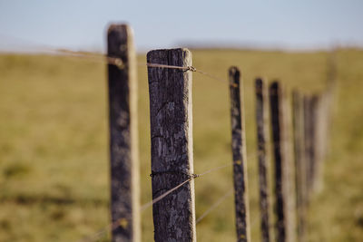 Close-up of wooden fence on field