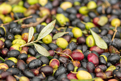 Full frame shot of fruits