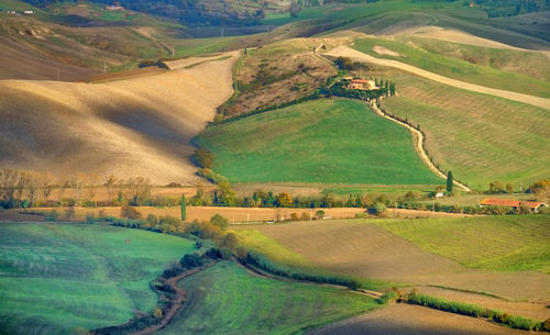 Aerial view of agricultural landscape
