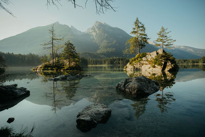 Scenic view of lake by trees against sky