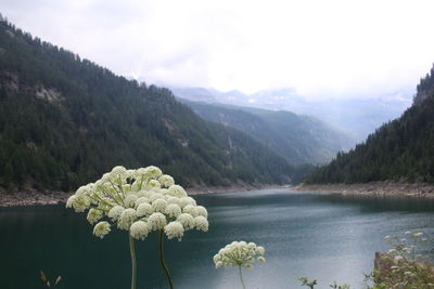 Scenic view of lake by mountains against sky