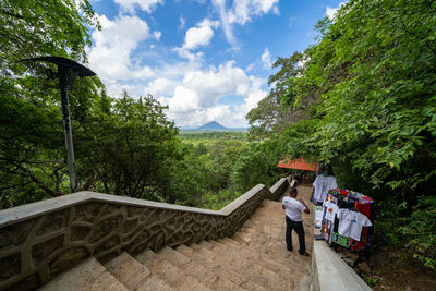 Rear view of man walking amidst plants against sky