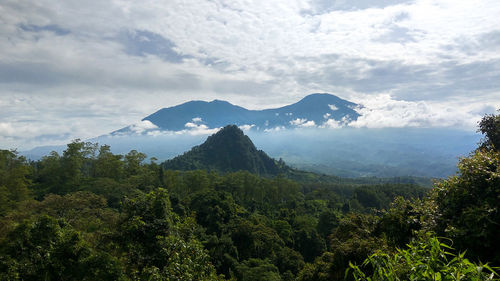 Scenic view of trees and mountains against sky