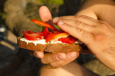 Midsection of person holding strawberry