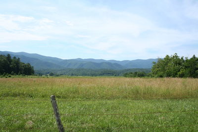 Taking in the majesty of the mountains 