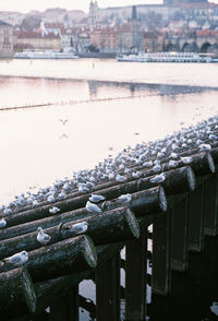 Aerial view of bridge over river in city