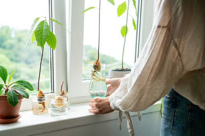 Home gardening concept. unrecognizable woman holding retro jar with avocado plant growing in water.