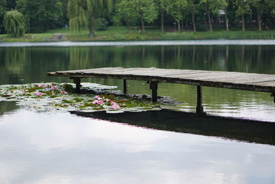 Scenic view of lake by trees
