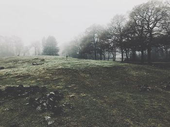 Trees on field against sky during winter