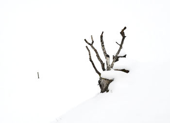 Bare tree on snow covered field against sky