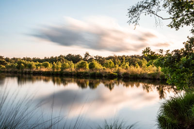 Scenic view of lake by trees against sky