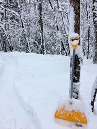 Snow on tree trunk in winter