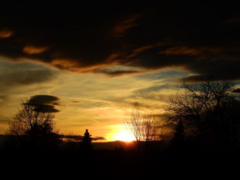 Silhouette trees against sky during sunset