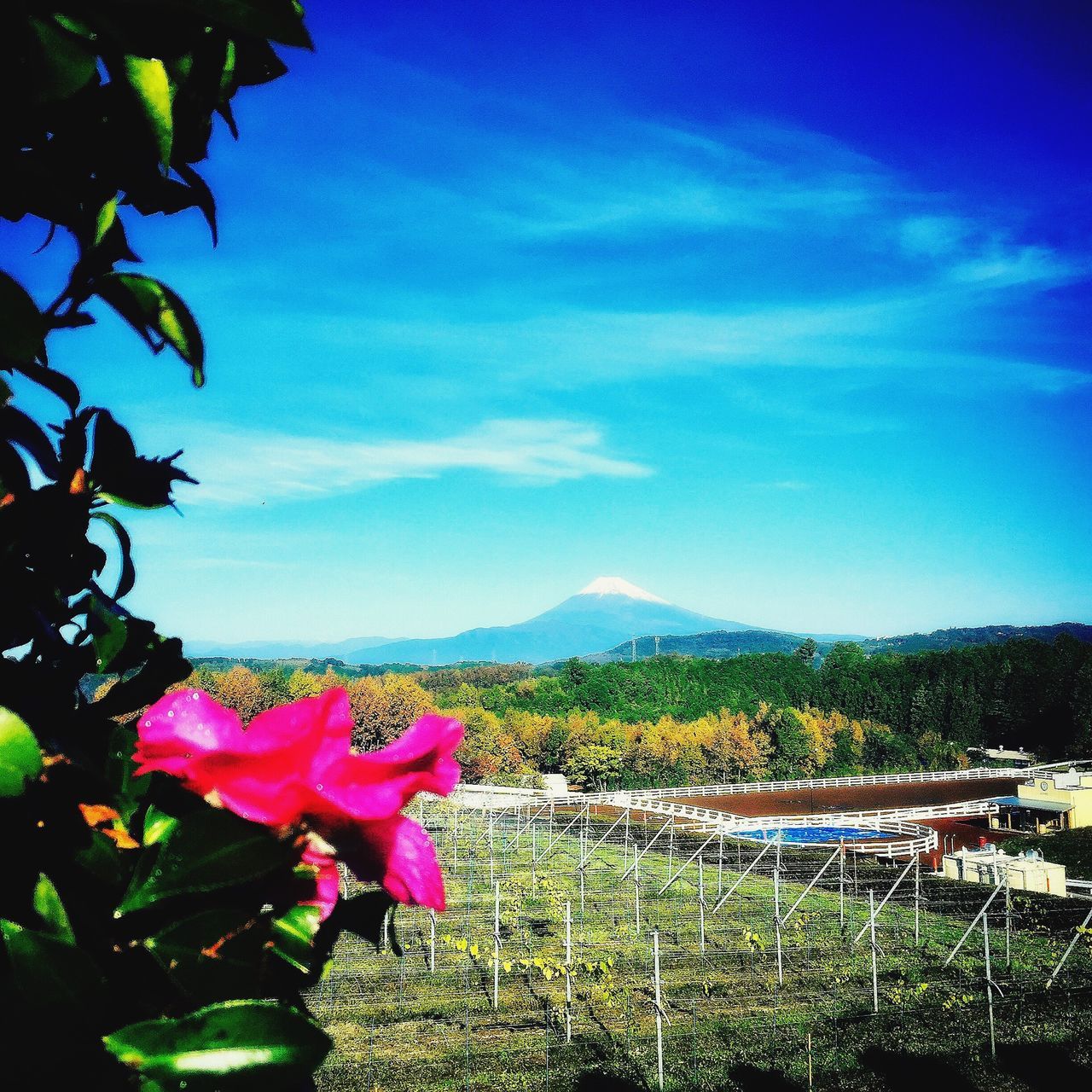 Winery Chateau,Izu Shi