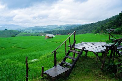 Scenic view of agricultural field against sky