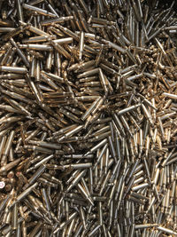 Close-up of rusty nails