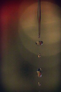 Close-up of water drop