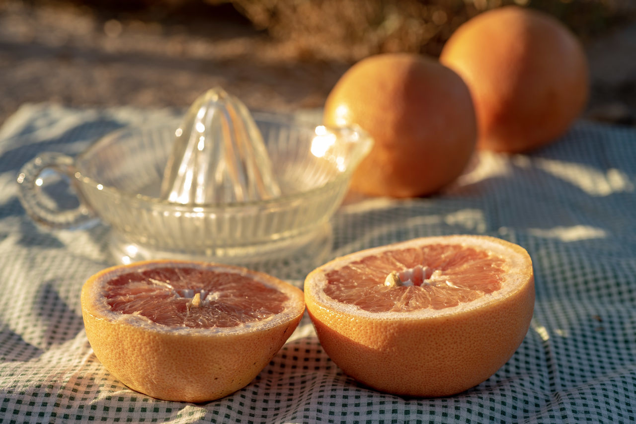 CLOSE-UP OF ORANGE SLICE WITH JUICE