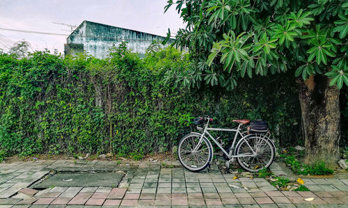 Bicycles on footpath by building in city