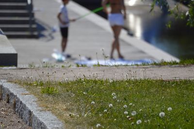 Low section of people walking on footpath in city