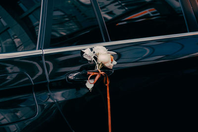 Close-up of car on window