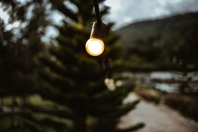 Close-up of illuminated light bulb