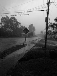 Empty road by trees against sky