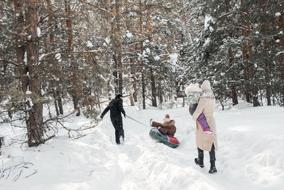 Cheerful family on a weekend rides a sleigh in a snowy forest. high quality photo