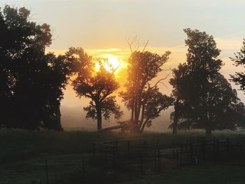 Silhouette trees on field against sky during sunset