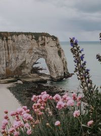 Falaises d'etretat