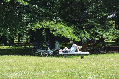 Empty bench in park