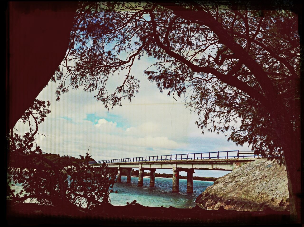 water, transfer print, sky, auto post production filter, tranquility, scenics, railing, tree, tranquil scene, beauty in nature, nature, cloud - sky, lake, river, built structure, sea, branch, fence, idyllic, sunset