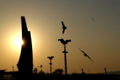 Silhouette birds flying in the sky