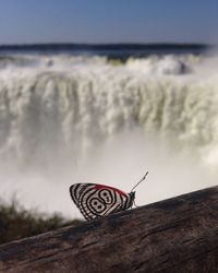 Close-up of flag on beach against sky