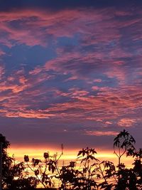 Low angle view of silhouette trees against dramatic sky