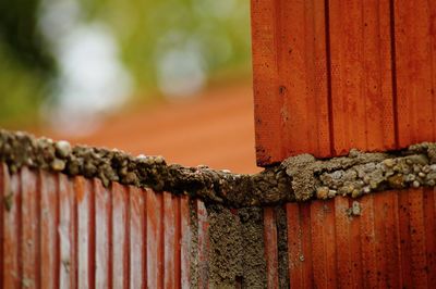 Close-up of wooden fence