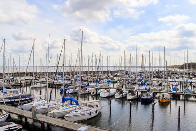 Sailboats moored in harbor