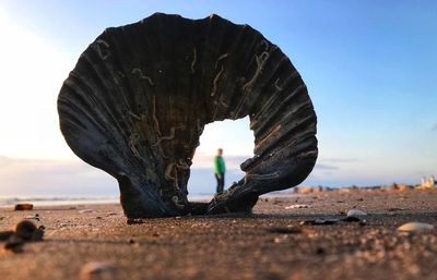 Close-up of rock on beach against clear sky