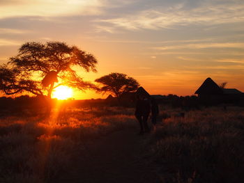 Rear view of people walking on field against sky during sunset