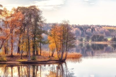 Scenic view of lake in forest during autumn