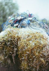 Close-up of fishing net